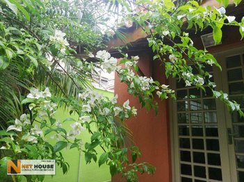 house em Rua Nakaya, Vila Mariana - São Paulo - SP