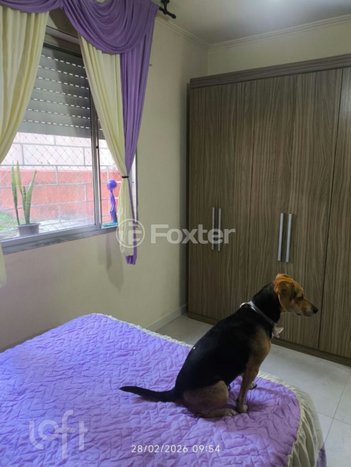 apartment em Rua Orfanotrófio, Santa Tereza - Porto Alegre - RS