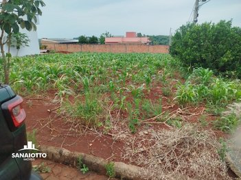 land_lot em Rua Itália, Guia Lopes - Santa Rosa - RS