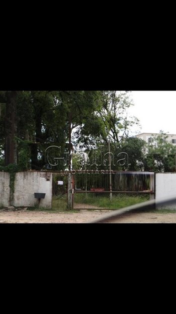 land_lot em Protásio Alves, Três Figueiras - Porto Alegre - RS