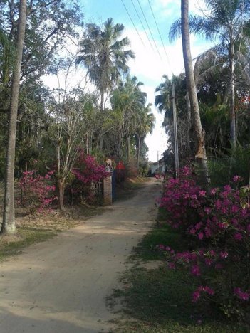 agricultural em Praça São Marcos, Vila Cândida - São José dos Campos - SP