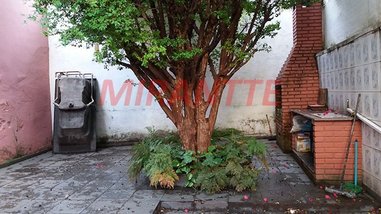 business em Leôncio De Magalhães, Jardim São Paulo(Zona Norte) - São Paulo - SP