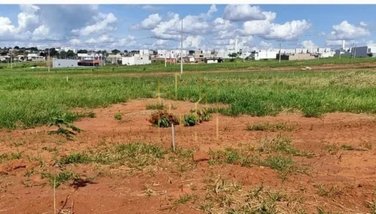 land_lot em Avenida Doutor Vicente Salles Guimarães, Alto Umuarama - Uberlândia - MG