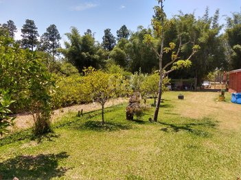 agricultural em Estrada Francisca de Oliveira Vieira, Belém Novo - Porto Alegre - RS