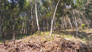 land_lot em Rodovia BR-040, Araras - Petrópolis - RJ