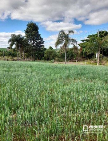 land_lot em Rua São José, Jardim São João - Paranavaí - PR
