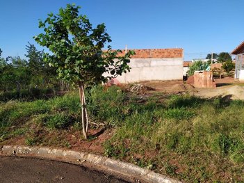 land_lot em Rua Jose Ant�nio Vital, Jardim Santa Cecília - Andradina - SP