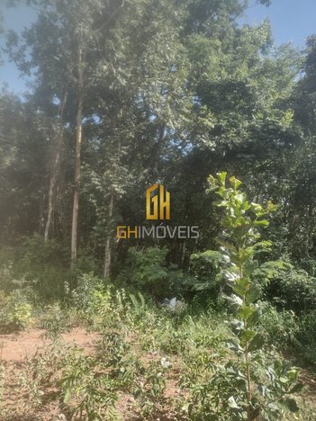 agricultural em Praça José Lobo, Setor Central - Bela Vista de Goiás - GO