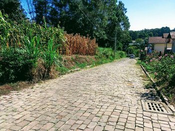 land_lot em Rua Regina Maria Barp, Desvio Rizzo - Caxias do Sul - RS