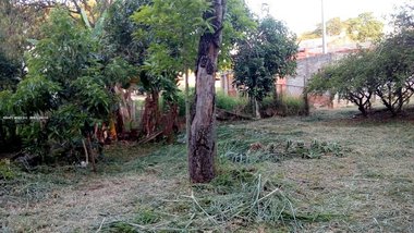 land_lot em Avenida Paraná, Cajuru do Sul - Sorocaba - SP