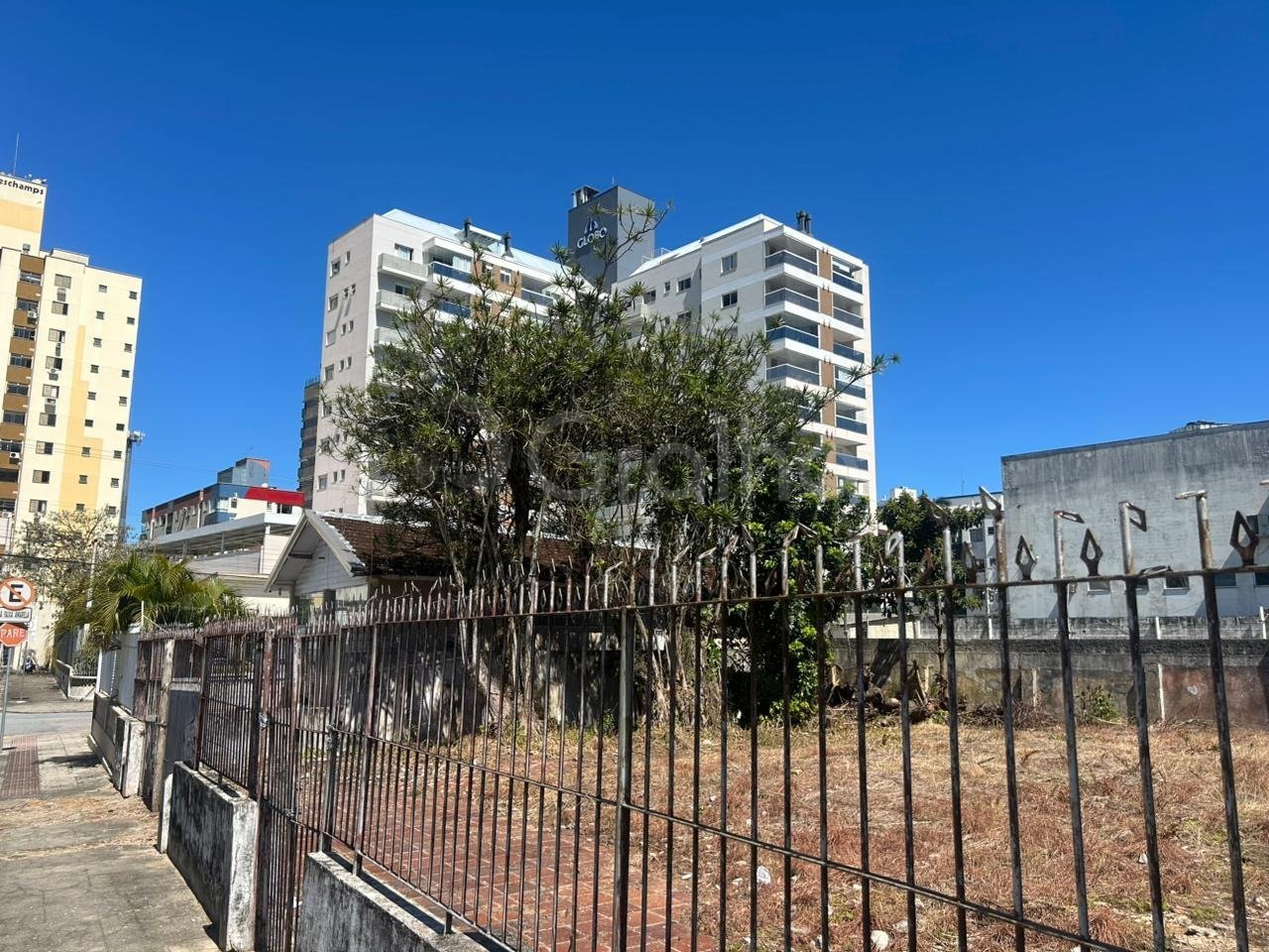 WhatsApp Image 2025-09-23 at 14.41