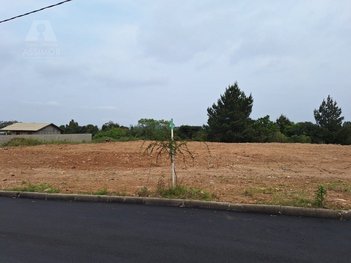 land_lot em Maria Beatriz Frigieri, De Zorzi - Caxias do Sul - RS