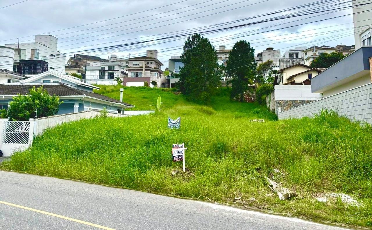 WhatsApp Image 2025-02-06 at 16.40