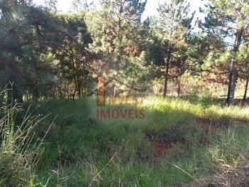land_lot em Rodovia Bunjiro Nakao, Paruru - Ibiúna - SP
