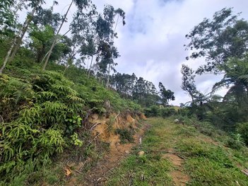 land_lot em Rio Bloemer, Centro - São Bonifácio - SC