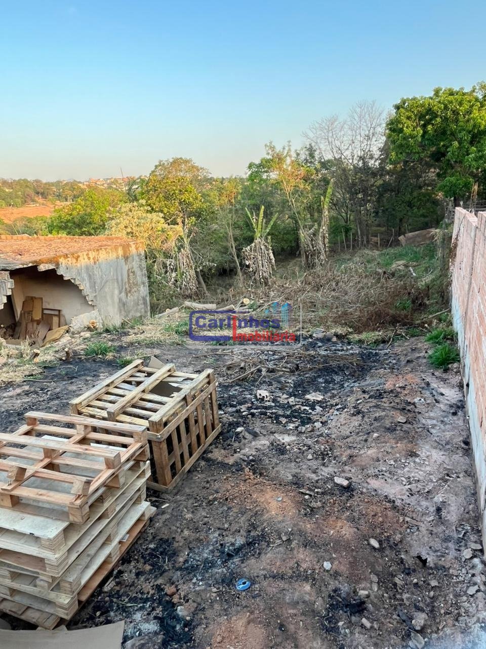 WhatsApp Image 2025-10-06 at 16.40