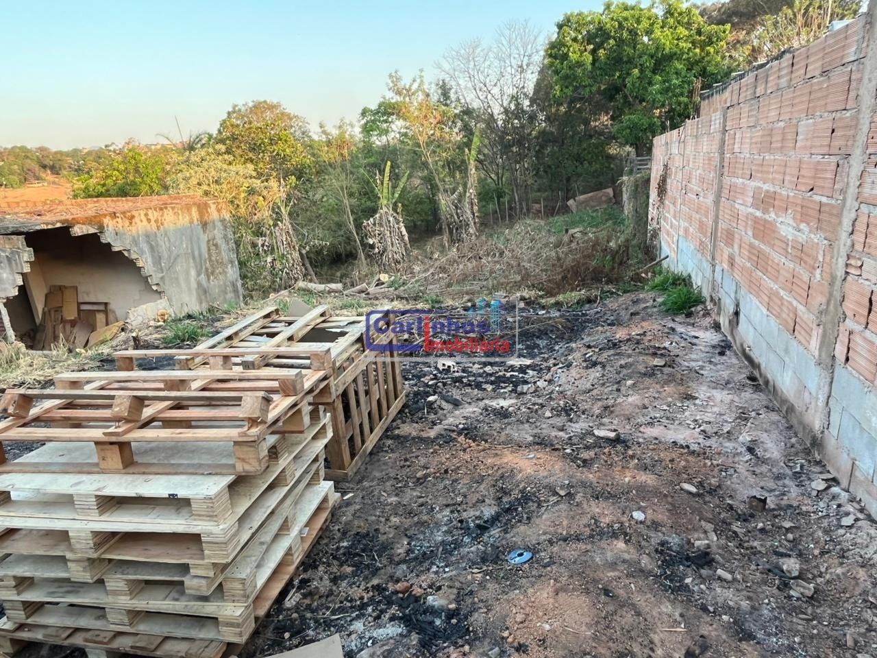 WhatsApp Image 2025-10-06 at 16.40