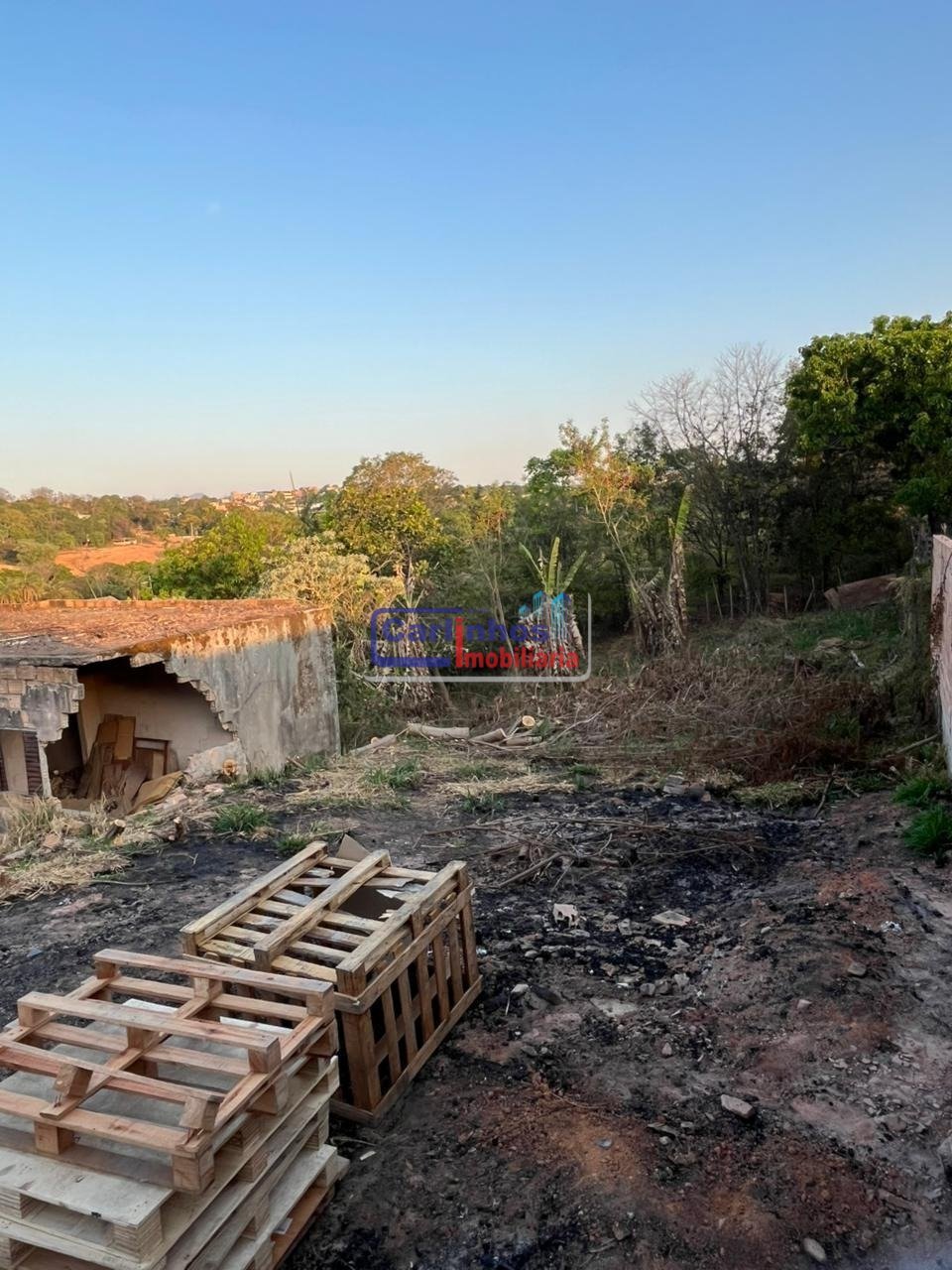 WhatsApp Image 2025-10-06 at 16.40