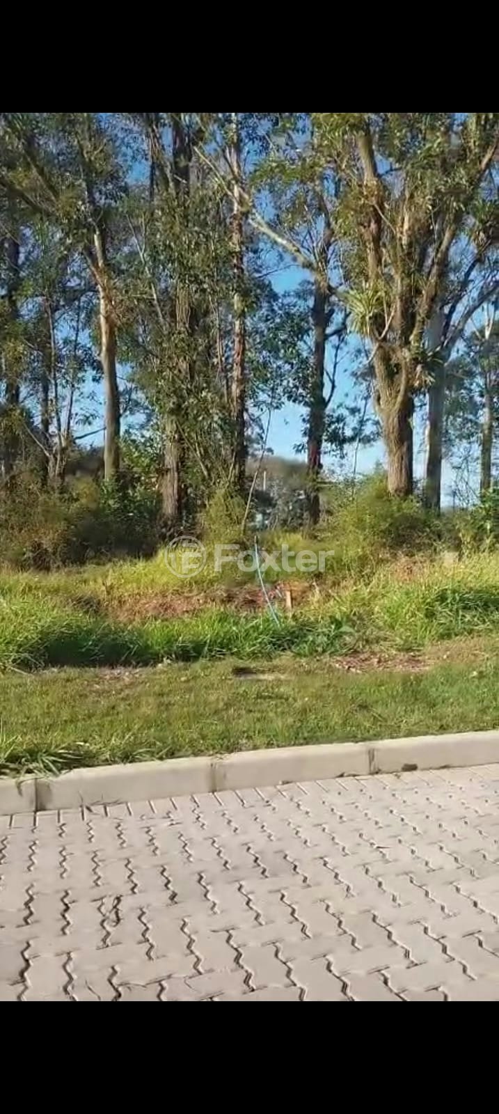 WhatsApp Image 2025-07-29 at 11.36.16.jpeg