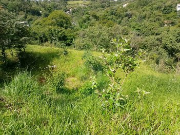 land_lot em Rua das Águias, Chácara das Garças - Santana de Parnaíba - SP