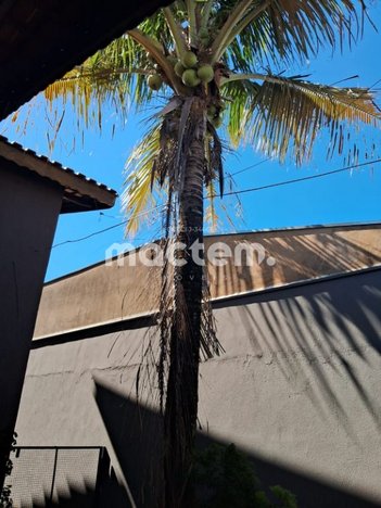 house em Rua Vitório Redígolo, Parque dos Flamboyans - Ribeirão Preto - SP