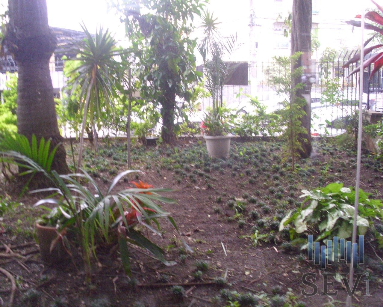 Foto 01