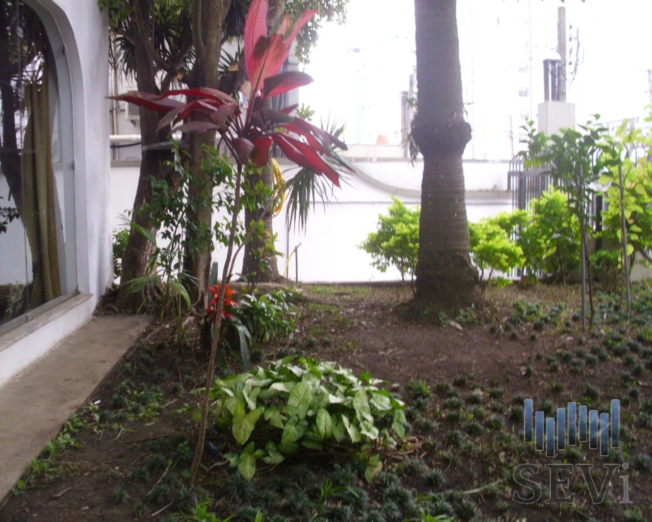 Foto 06