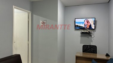 office em Rua Maestro João Gomes de Araújo, Água Fria - São Paulo - SP