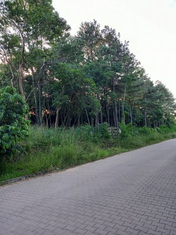 land_lot em Alberto Adolpho Fruchtenicht, Campestre - São Leopoldo - RS