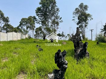 land_lot em Avenida Santana, Jardim Maristela - Atibaia - SP