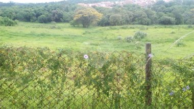 land_lot em Avenida das Torres, Jardim Centro Cívico - Sarandi - PR