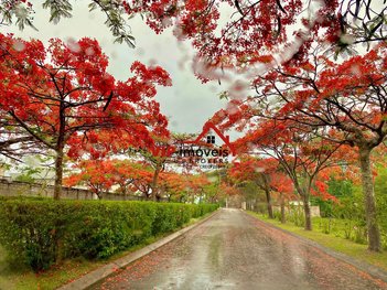 land_lot em Avenida Alberto João Luchesi, Caxambu - Jundiaí - SP