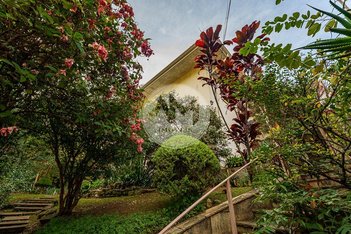 house em Rua Itabaquara, Pacaembu - São Paulo - SP