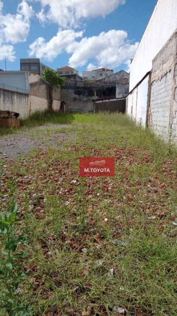 land_lot em Rua Benedito Rodrigues de Freitas, Vila Rachid - Guarulhos - SP