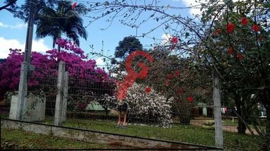 agricultural em Rua Itapema, Centro - Capela de Santana - RS