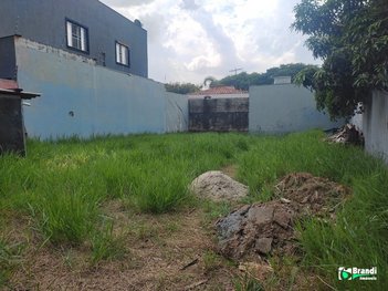 land_lot em Rua Joaquim Moreira Dias, Jardim Avelino - São Paulo - SP