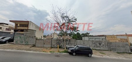 land_lot em Júlio Buono, Vila Gustavo - São Paulo - SP