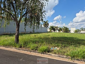 land_lot em Rua Padre Roque, Centro - Mogi Mirim - SP