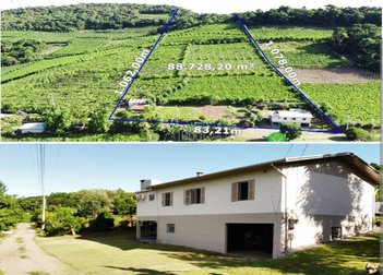 agricultural em Via Tentro, Linha Leopoldina - Bento Gonçalves - RS