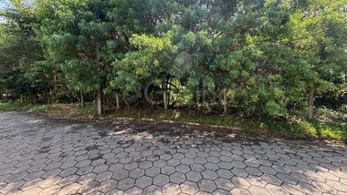 land_lot em Servidão Pedro Manoel Borba, Pântano do Sul - Florianópolis - SC