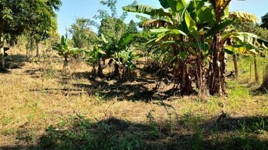 land_lot em Rua das Oliveiras, Quintas de Pirapora I - Salto de Pirapora - SP