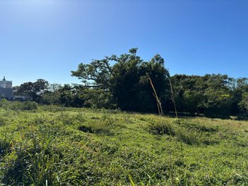 land_lot em da Fazenda, Ribeirão da Ilha - Florianópolis - SC