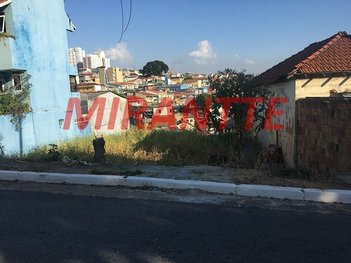 land_lot em Silvério De Carvalho, Vila Carbone - São Paulo - SP
