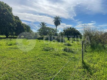 agricultural em Avenida Quarto-de-Milha, Jockey Camping - Uberlândia - MG