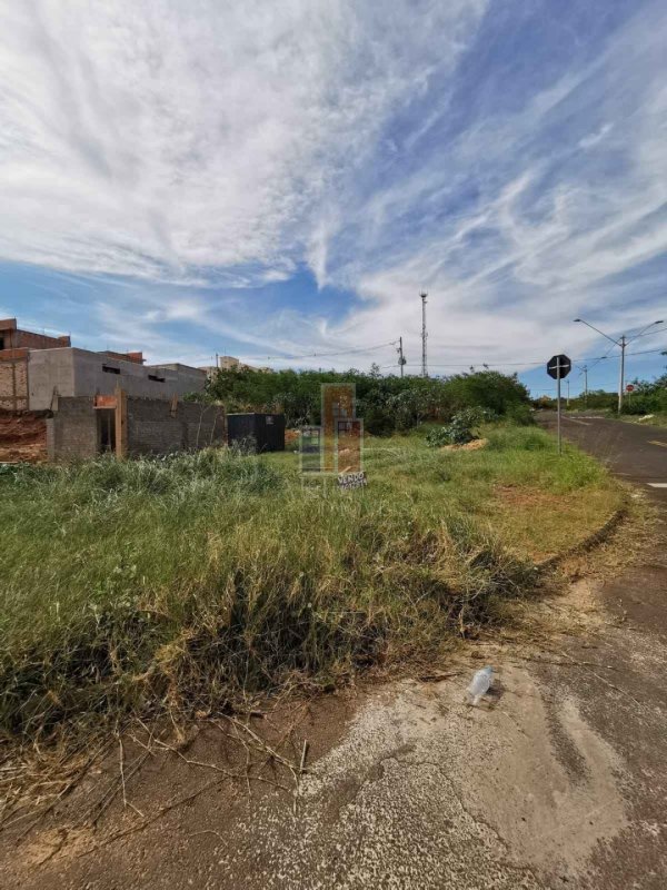 image-0