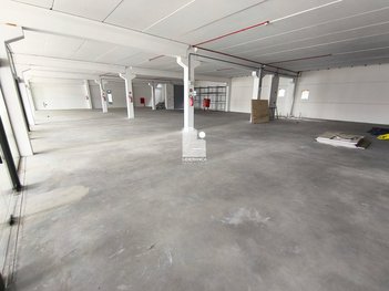 business em Rodovia BR-101, Roçado - São José - SC