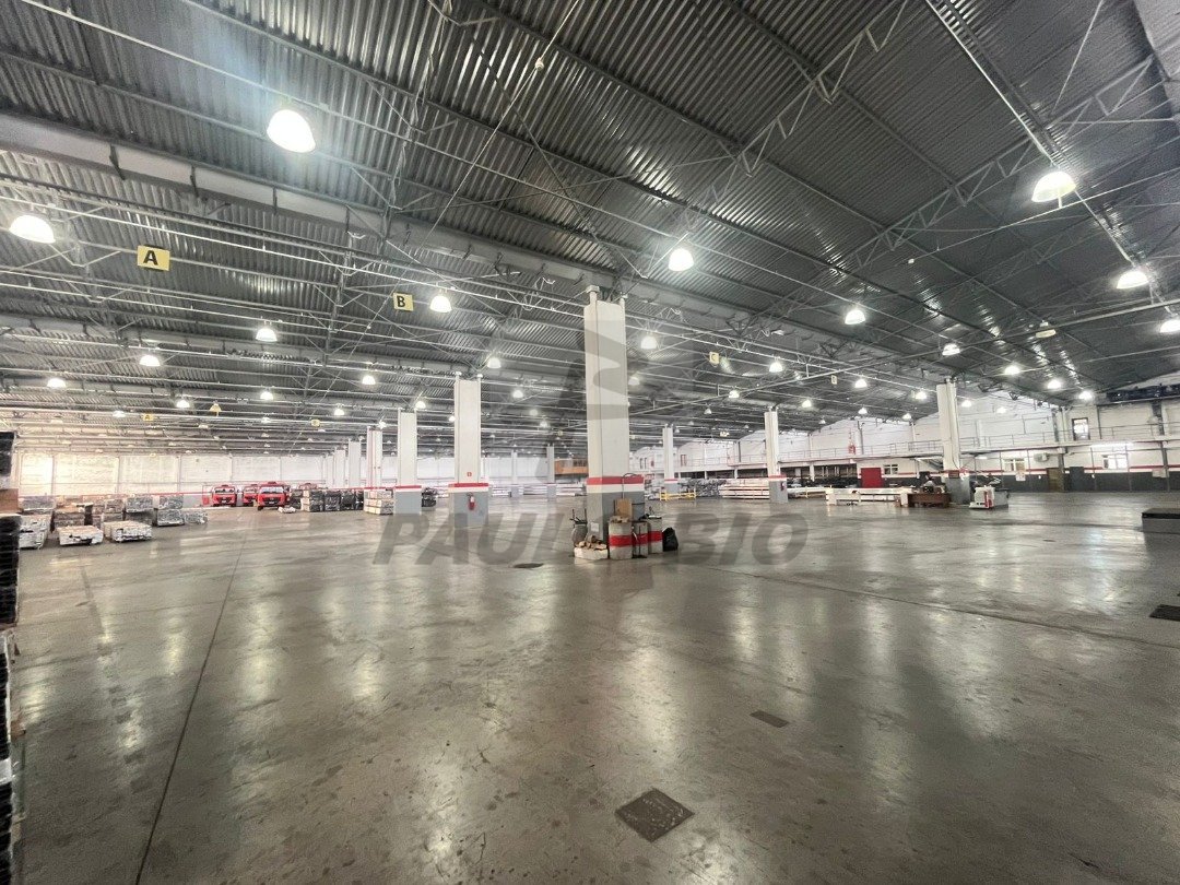 WhatsApp Image 2025-07-30 at 10.30