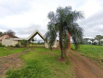 agricultural em Rodovia PR-445, Conjunto Habitacional Jamile Dequech - Londrina - PR