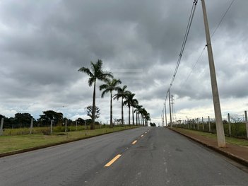 land_lot em Rodovia Governador Doutor Adhemar Pereira de Barros, Fazenda Pau D'Alho - Campinas - SP