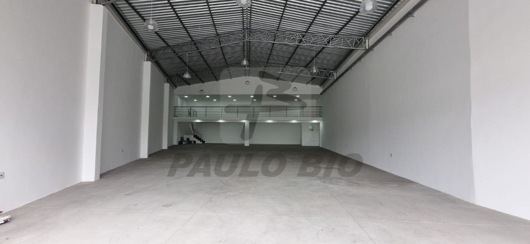 WhatsApp Image 2025-08-09 at 11.18